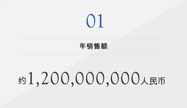 01 年销售额 约1,200,000,000人民币