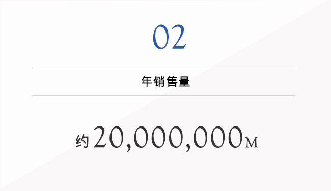 02 年销售量 约20,000,000M